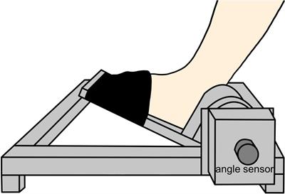 Transcranial direct current stimulation over the posterior parietal cortex improves visuomotor performance and proprioception in the lower extremities